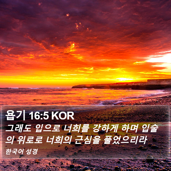 욥기 16:5 KOR Bible Study