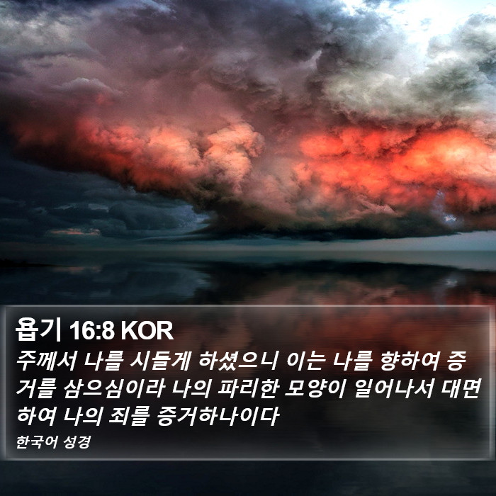 욥기 16:8 KOR Bible Study