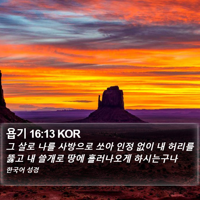 욥기 16:13 KOR Bible Study