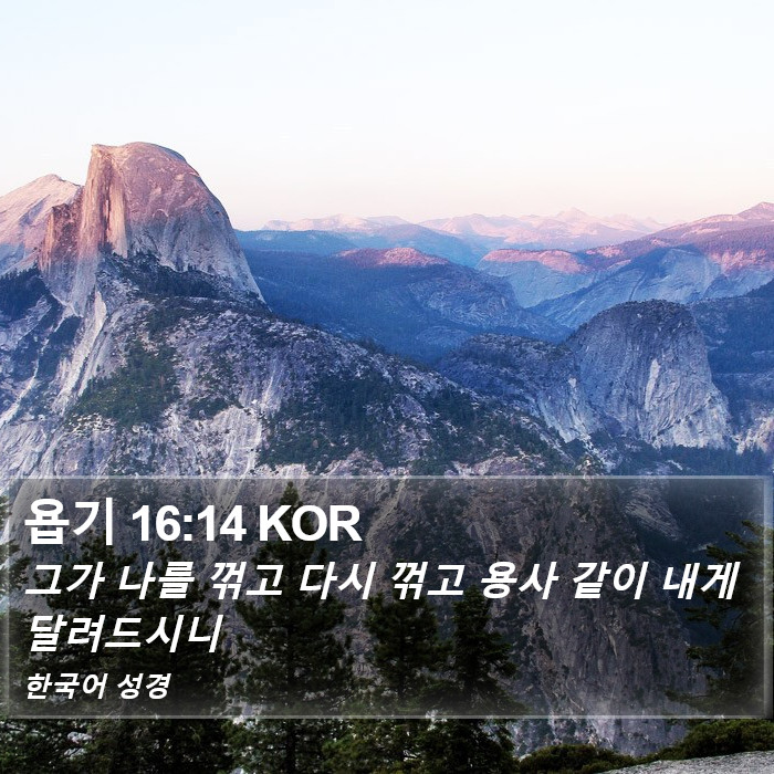 욥기 16:14 KOR Bible Study