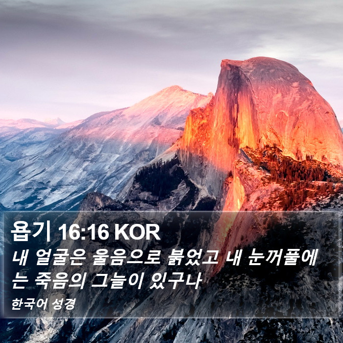 욥기 16:16 KOR Bible Study