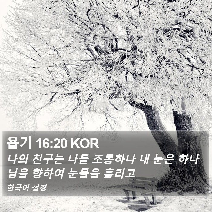 욥기 16:20 KOR Bible Study