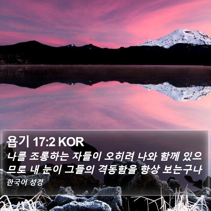 욥기 17:2 KOR Bible Study