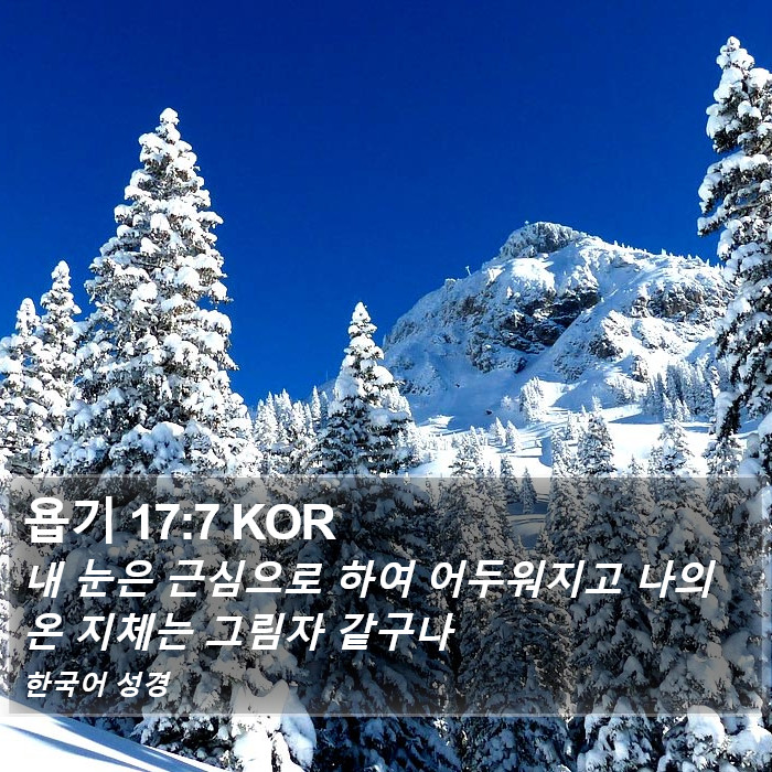 욥기 17:7 KOR Bible Study