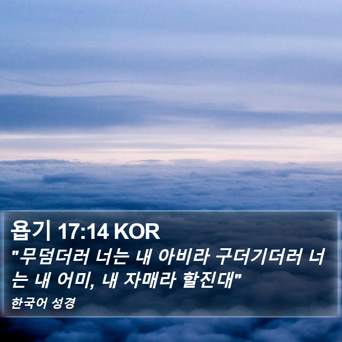 욥기 17:14 KOR Bible Study