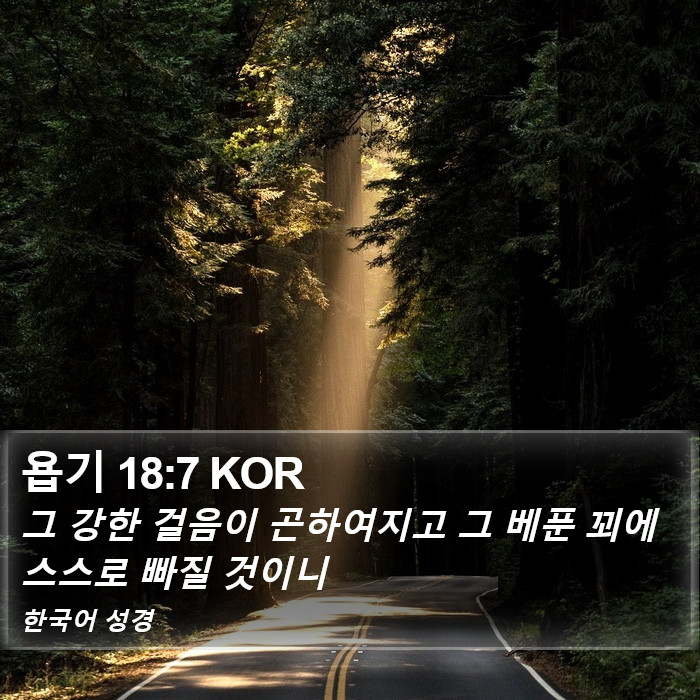 욥기 18:7 KOR Bible Study