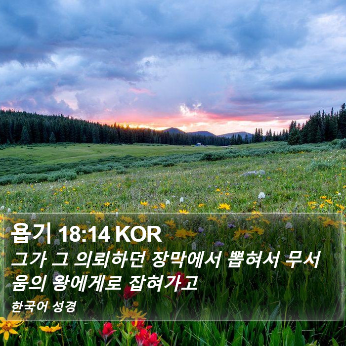 욥기 18:14 KOR Bible Study