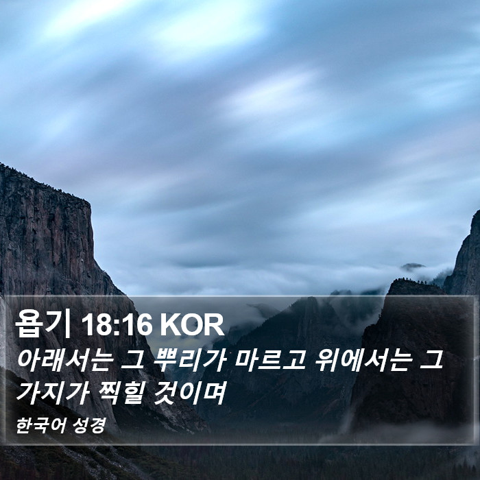 욥기 18:16 KOR Bible Study