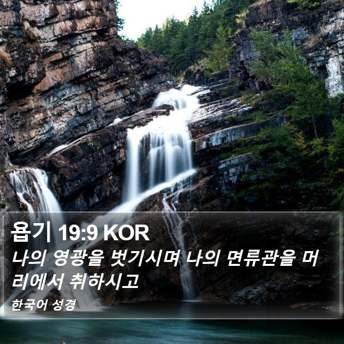 욥기 19:9 KOR Bible Study