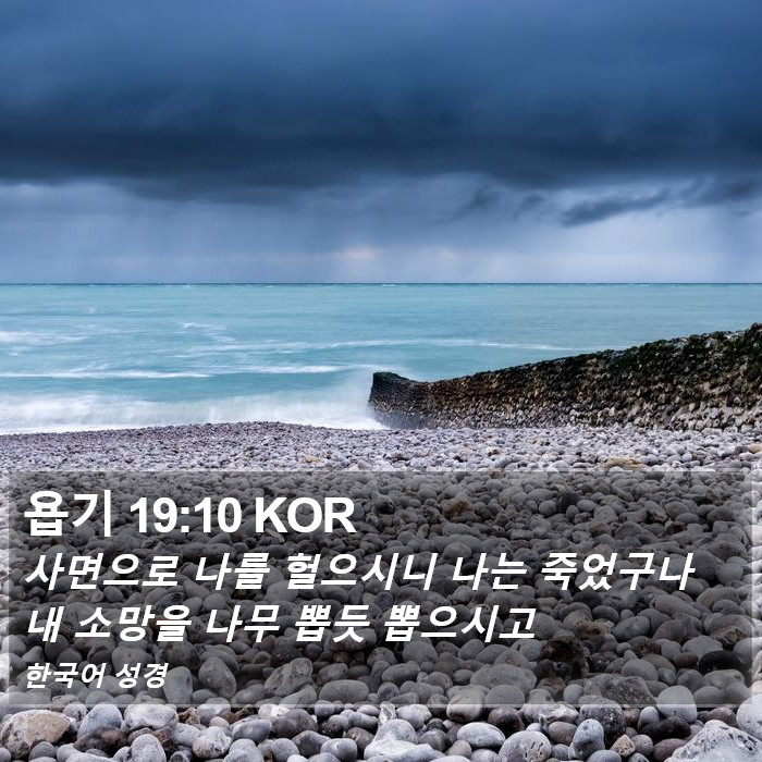 욥기 19:10 KOR Bible Study