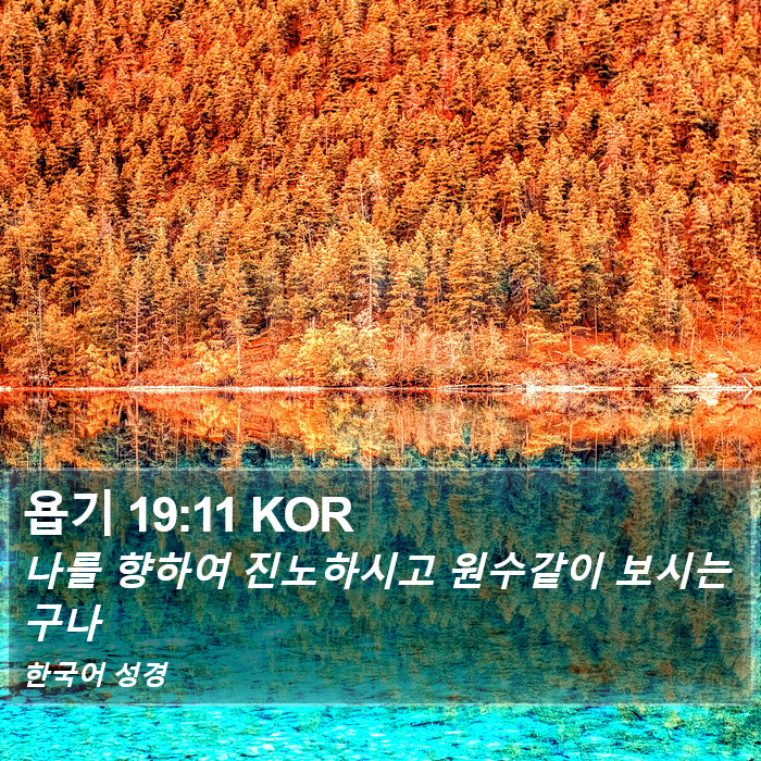 욥기 19:11 KOR Bible Study