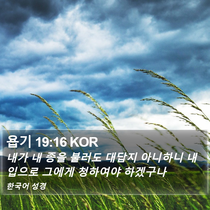 욥기 19:16 KOR Bible Study