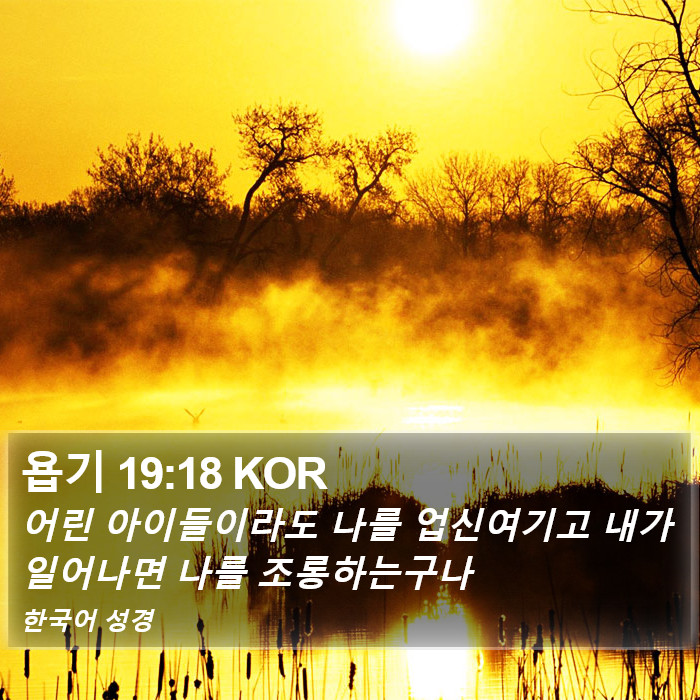 욥기 19:18 KOR Bible Study