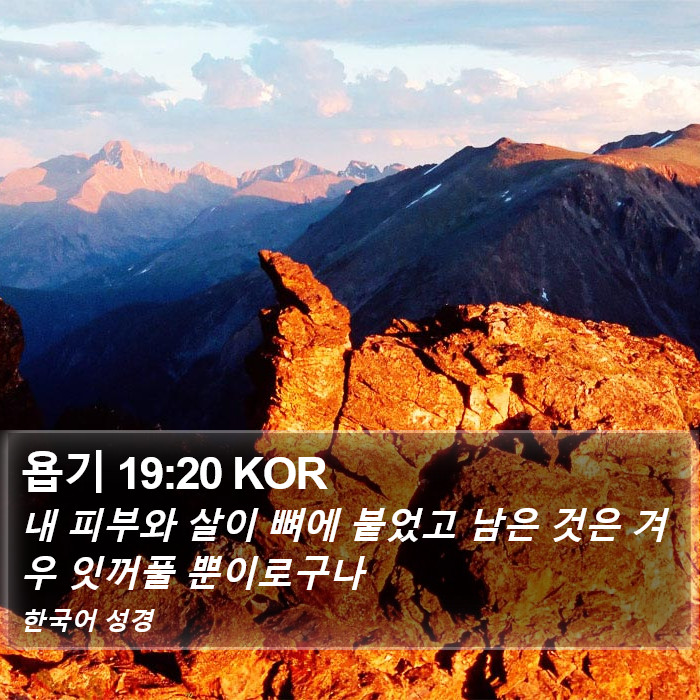 욥기 19:20 KOR Bible Study