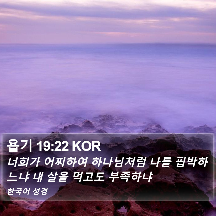 욥기 19:22 KOR Bible Study