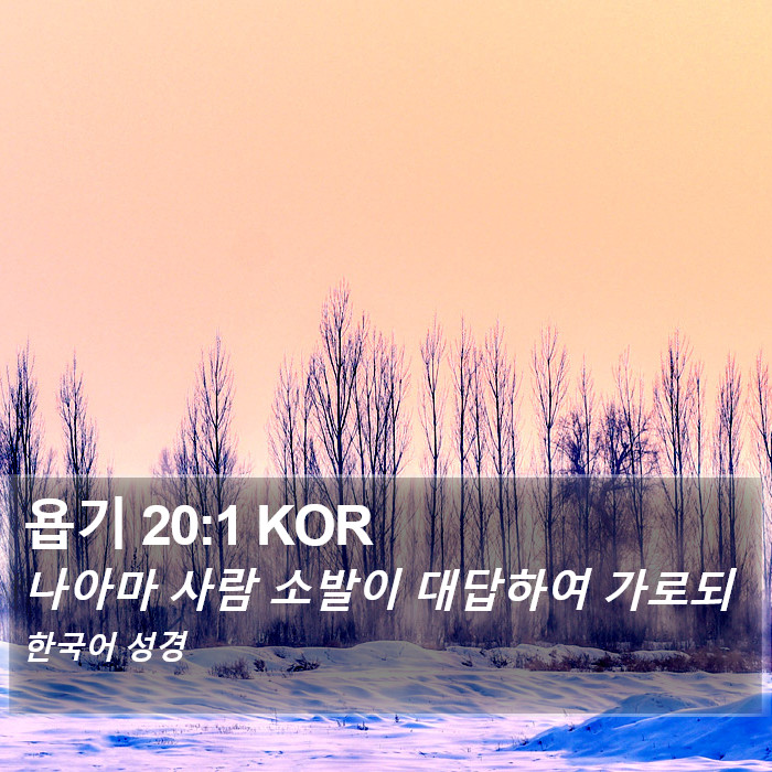 욥기 20:1 KOR Bible Study