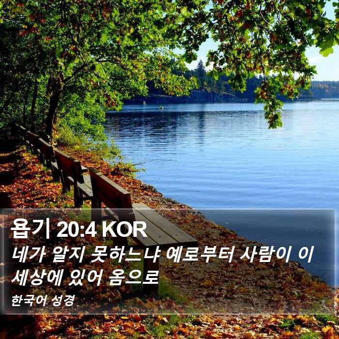 욥기 20:4 KOR Bible Study