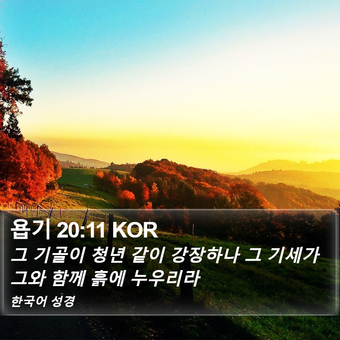 욥기 20:11 KOR Bible Study