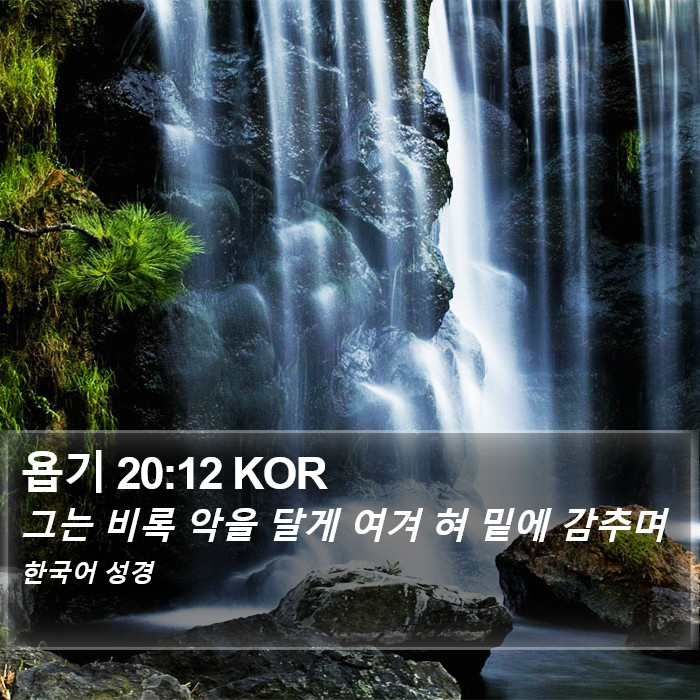 욥기 20:12 KOR Bible Study