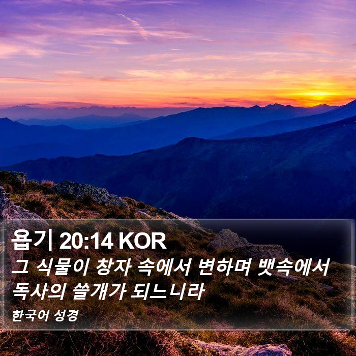 욥기 20:14 KOR Bible Study