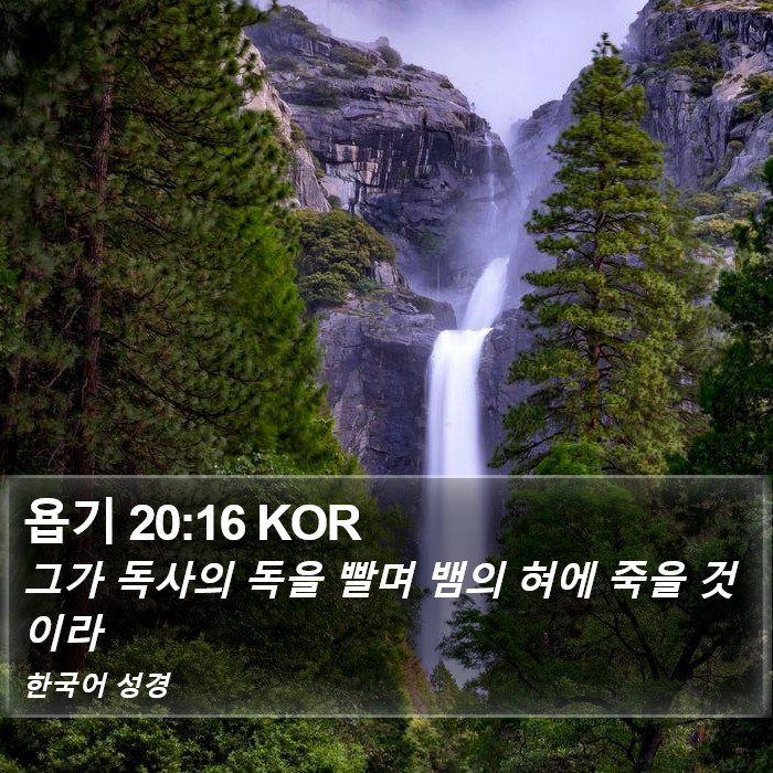 욥기 20:16 KOR Bible Study