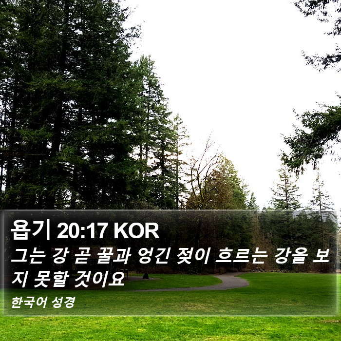 욥기 20:17 KOR Bible Study