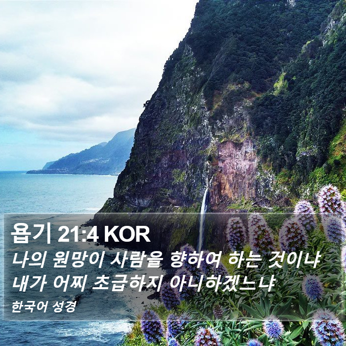 욥기 21:4 KOR Bible Study