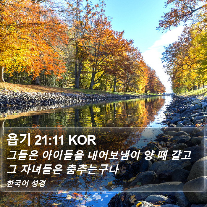욥기 21:11 KOR Bible Study