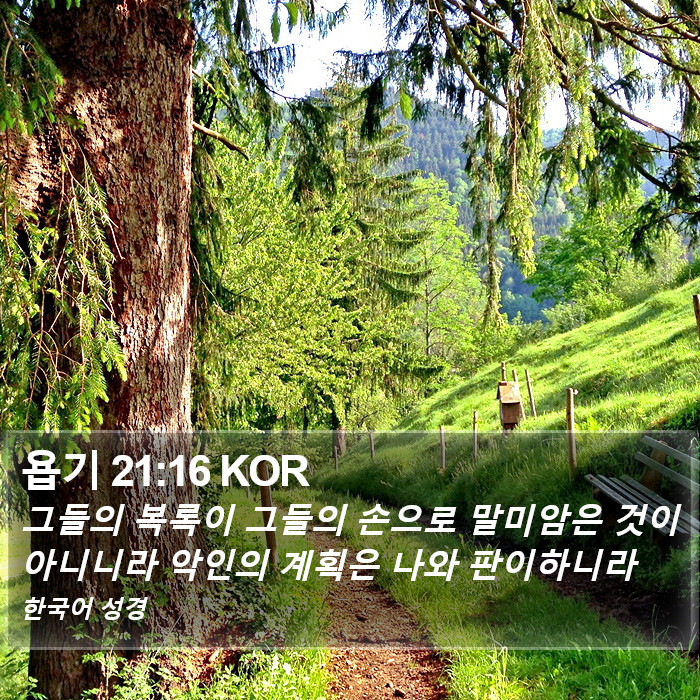 욥기 21:16 KOR Bible Study