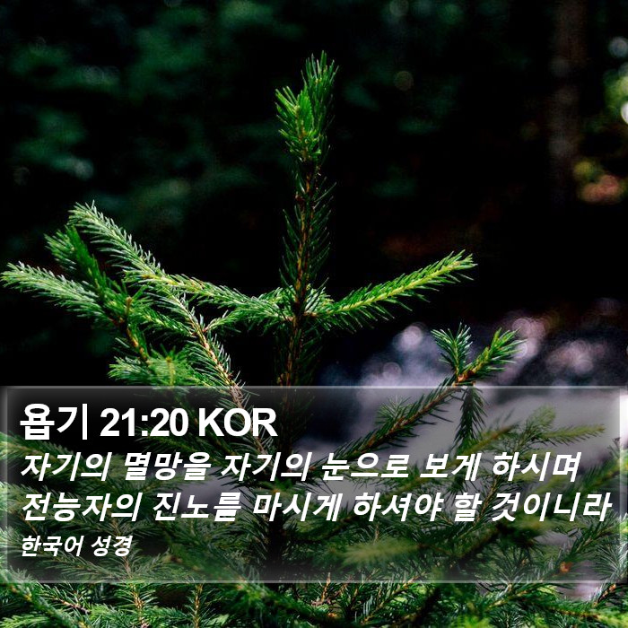 욥기 21:20 KOR Bible Study