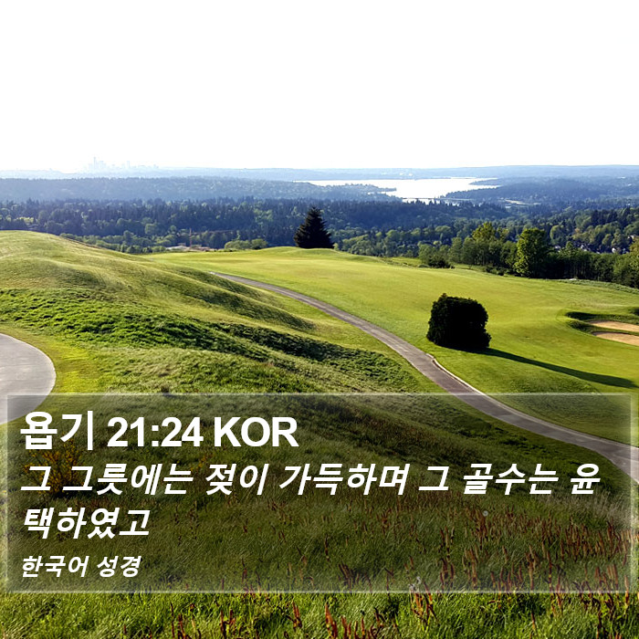 욥기 21:24 KOR Bible Study
