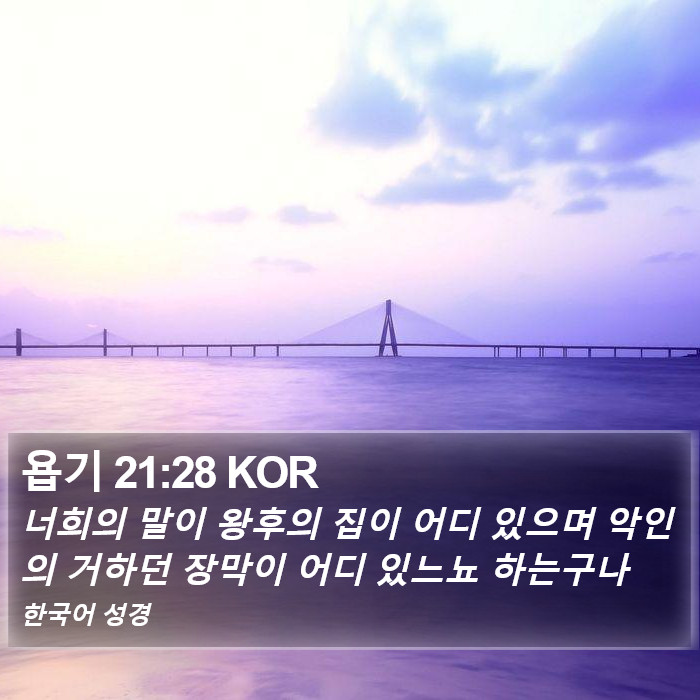욥기 21:28 KOR Bible Study