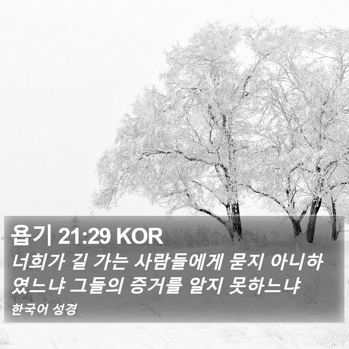 욥기 21:29 KOR Bible Study