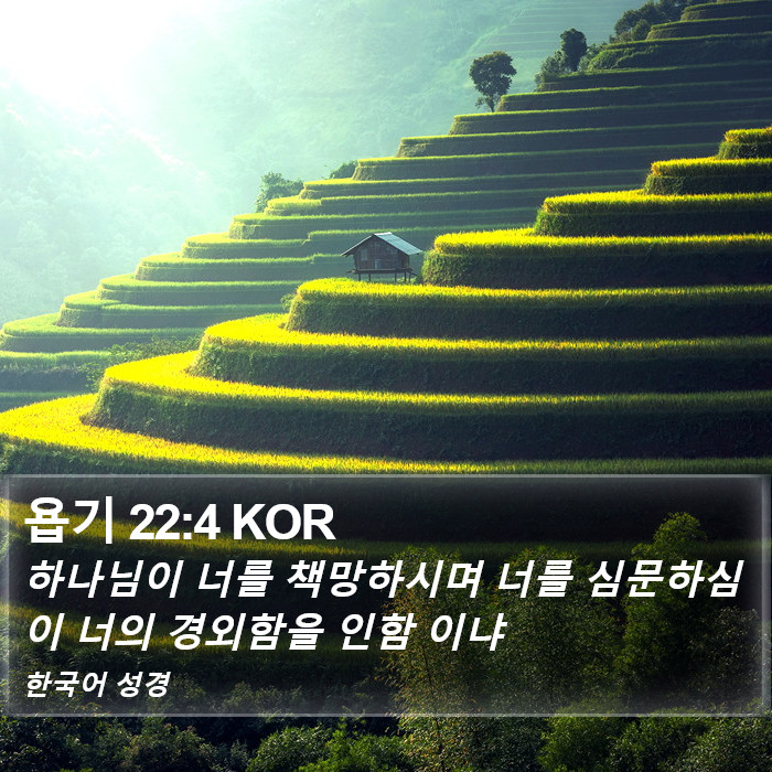 욥기 22:4 KOR Bible Study