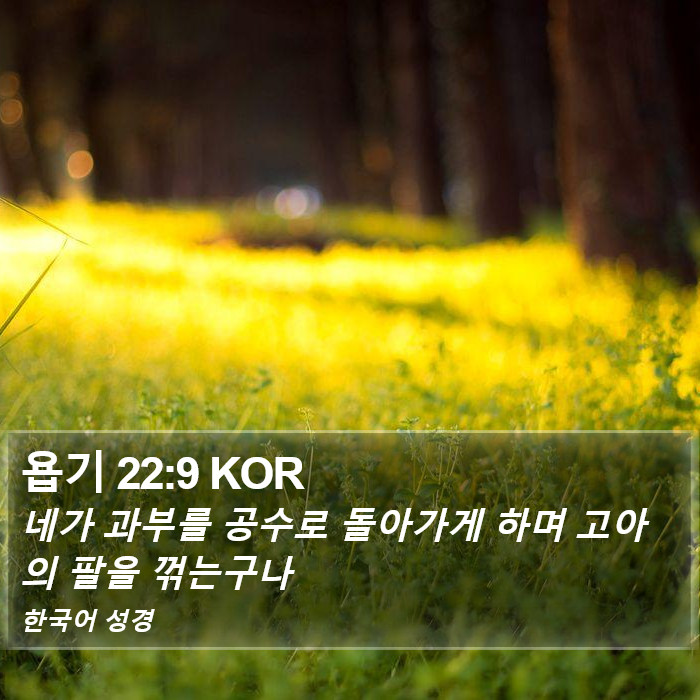 욥기 22:9 KOR Bible Study