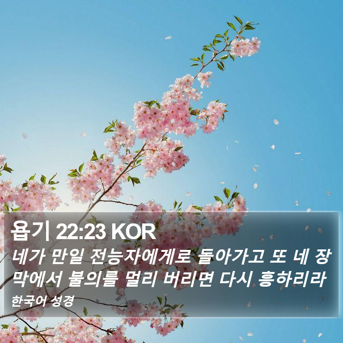 욥기 22:23 KOR Bible Study