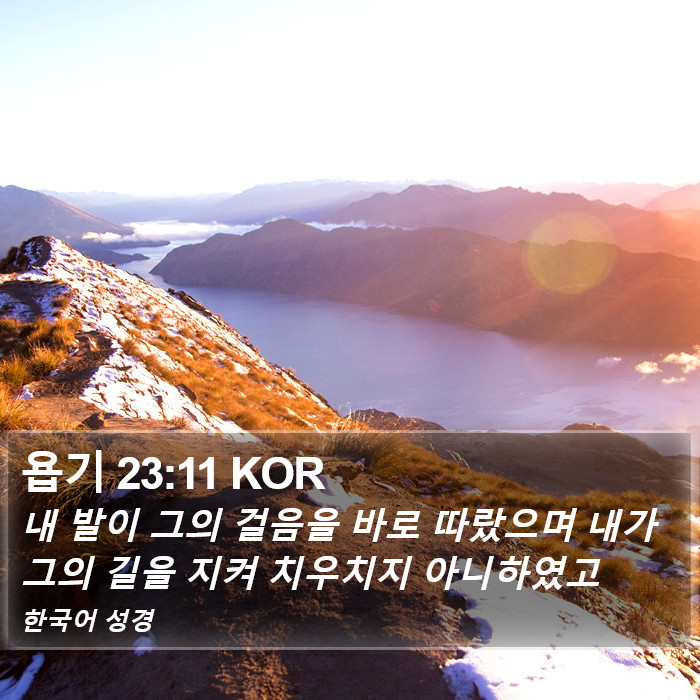 욥기 23:11 KOR Bible Study