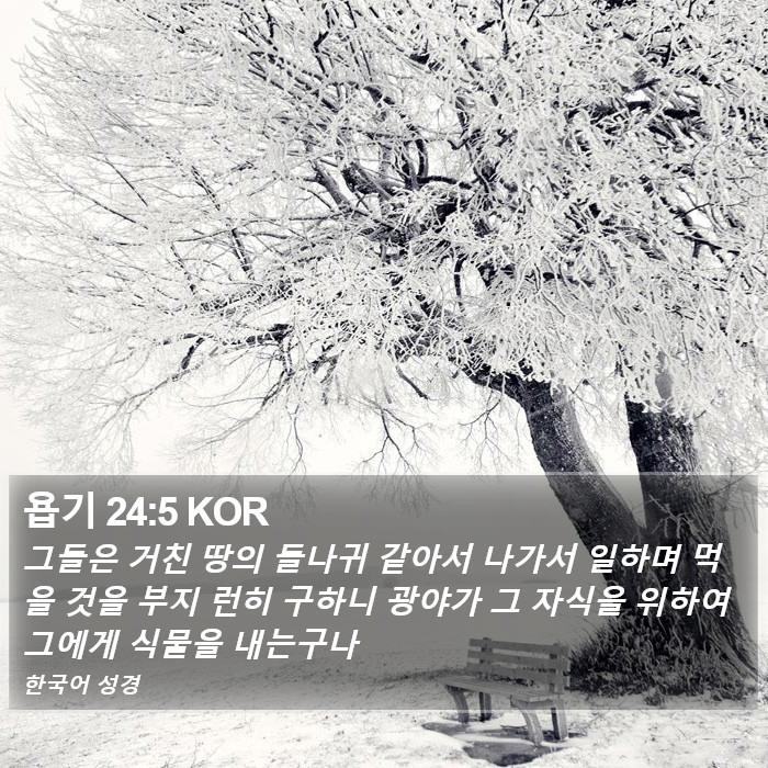 욥기 24:5 KOR Bible Study