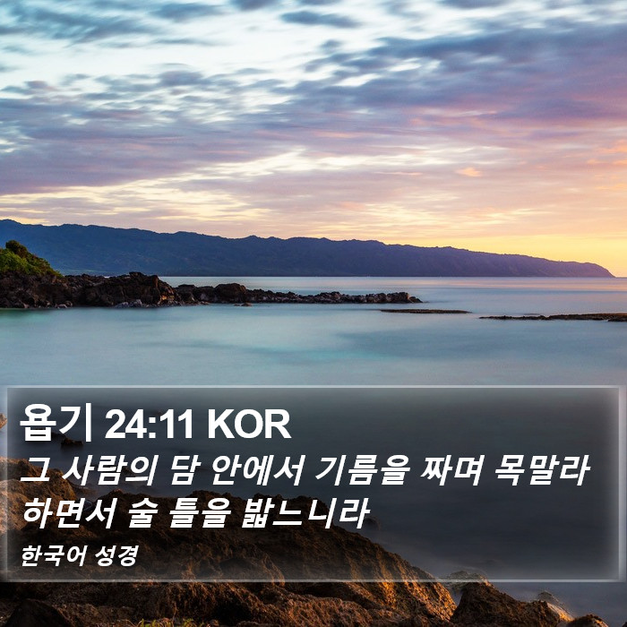 욥기 24:11 KOR Bible Study