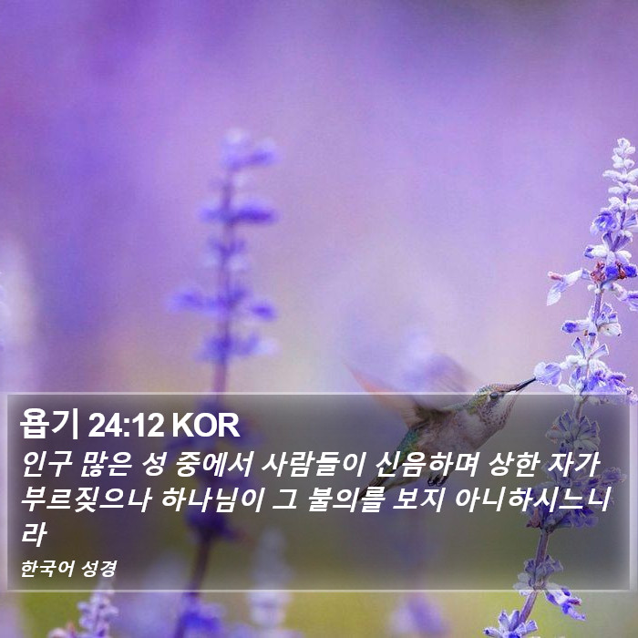 욥기 24:12 KOR Bible Study