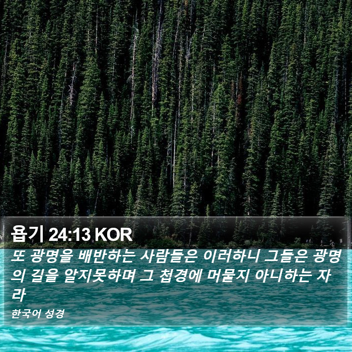 욥기 24:13 KOR Bible Study