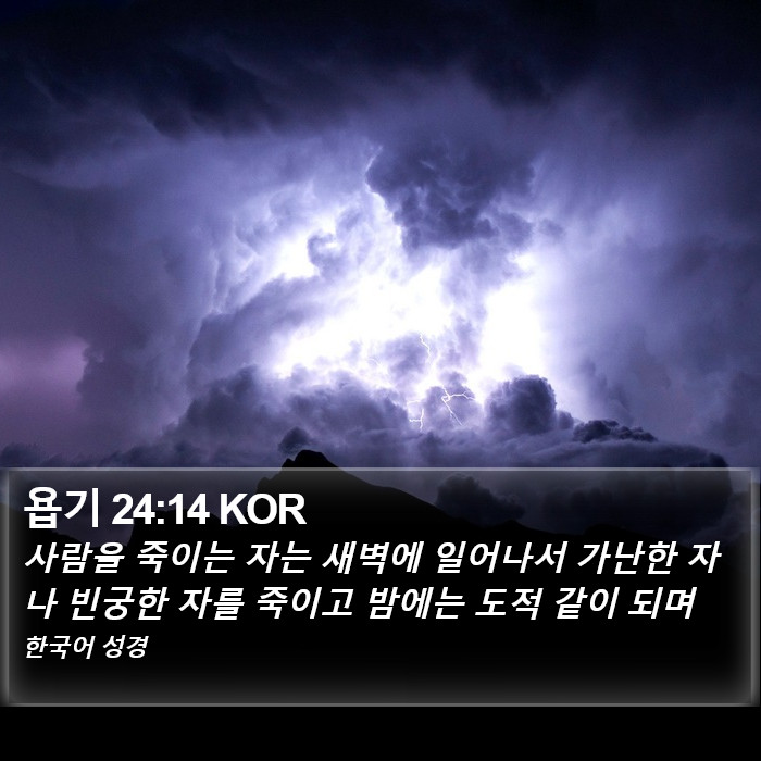 욥기 24:14 KOR Bible Study