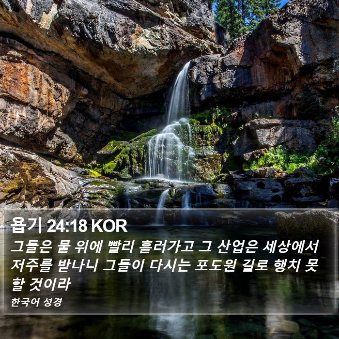 욥기 24:18 KOR Bible Study