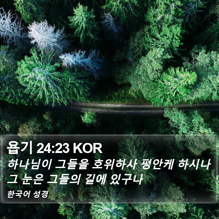 욥기 24:23 KOR Bible Study