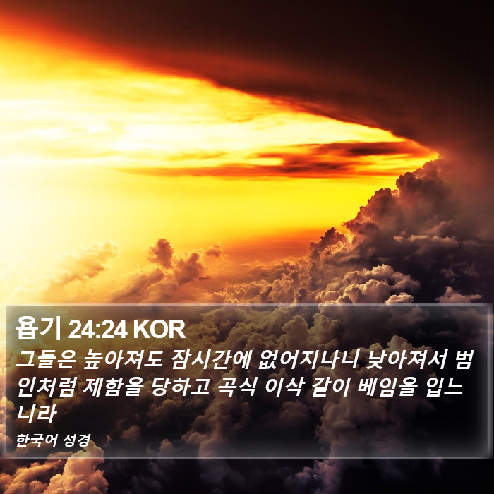 욥기 24:24 KOR Bible Study