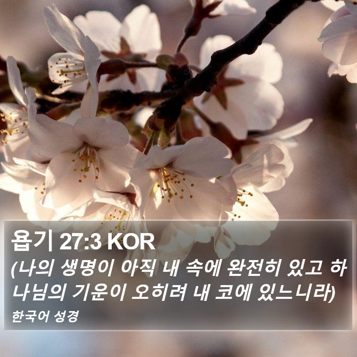 욥기 27:3 KOR Bible Study