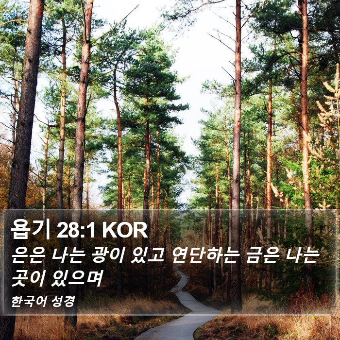 욥기 28:1 KOR Bible Study