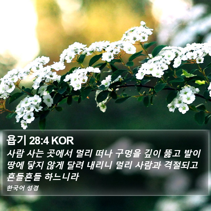 욥기 28:4 KOR Bible Study