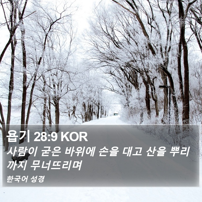 욥기 28:9 KOR Bible Study