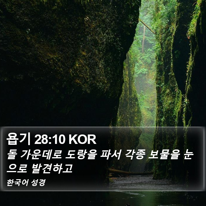 욥기 28:10 KOR Bible Study